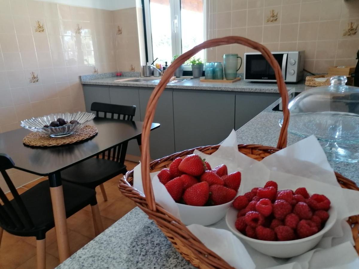 Casa D'Avo Bina Alojamento Local Viana do Castelo Eksteriør bilde